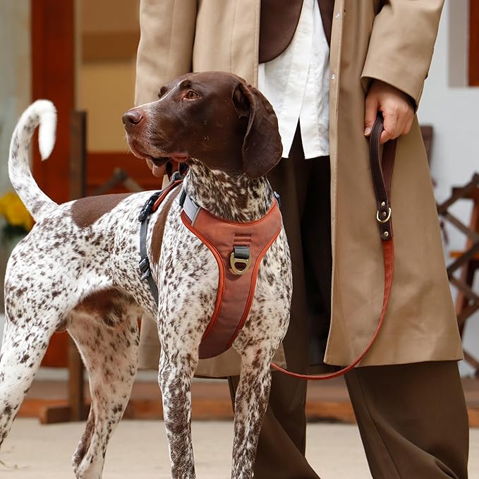 No Pull Dog Harness Medium Sized Dog,Stylish PU Leather Vest with Easy Control Handle,No Choke Front Clip with 2 Metal Leash Clips,Reflective & Adjustable for Walking,Brown,Chest 27-33"