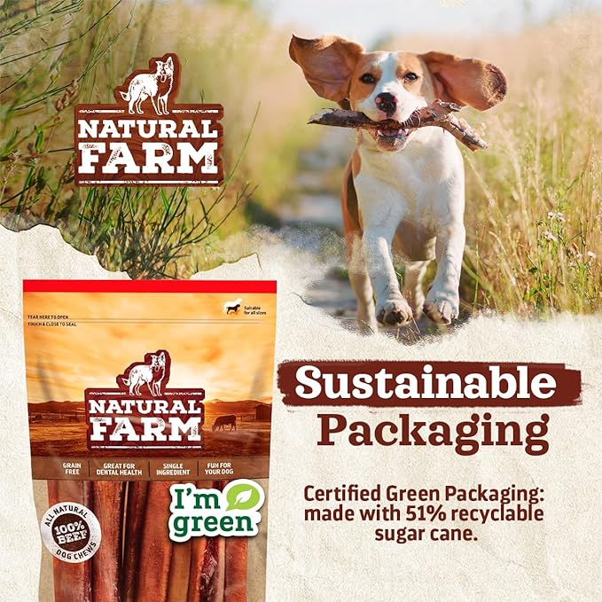 Natural Farm Odor-Free Select Bully Sticks, (12-Inch, 1-Pound), Hand Selected for Consistent Thickness, 100% Beef Pizzle Dog Chews, Fully Digestible, High Protein, Best Dental Treats