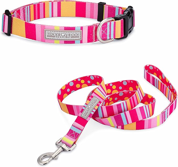 Lucky Love Dog - Easy Click Buckle Dog Collar with Leash Set Combo, Durable & Comfortable for Male & Female Dogs, Pet Collar for Small to Large Dogs, Secure Fit - Molly Combo, Extra Small