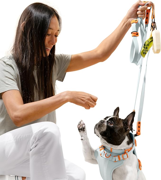 HNS1002D Arlo Medium Adjustable Soft Padded No Pull Pet Harness with 3 Buckles and 3 Leash Clips, Fishbowl