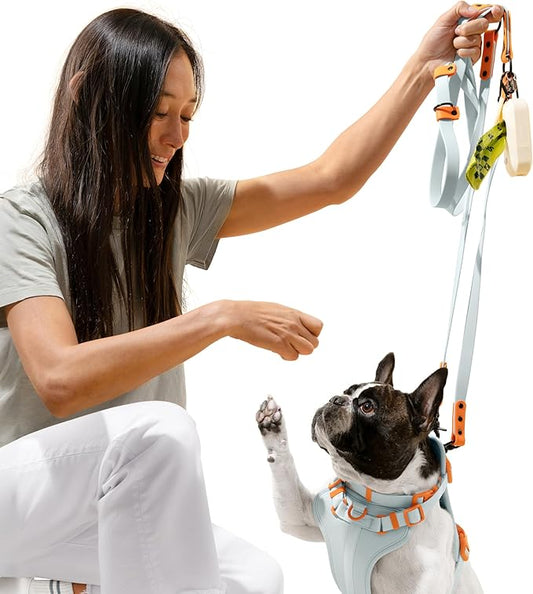 HNS1002D Arlo Medium Adjustable Soft Padded No Pull Pet Harness with 3 Buckles and 3 Leash Clips, Fishbowl