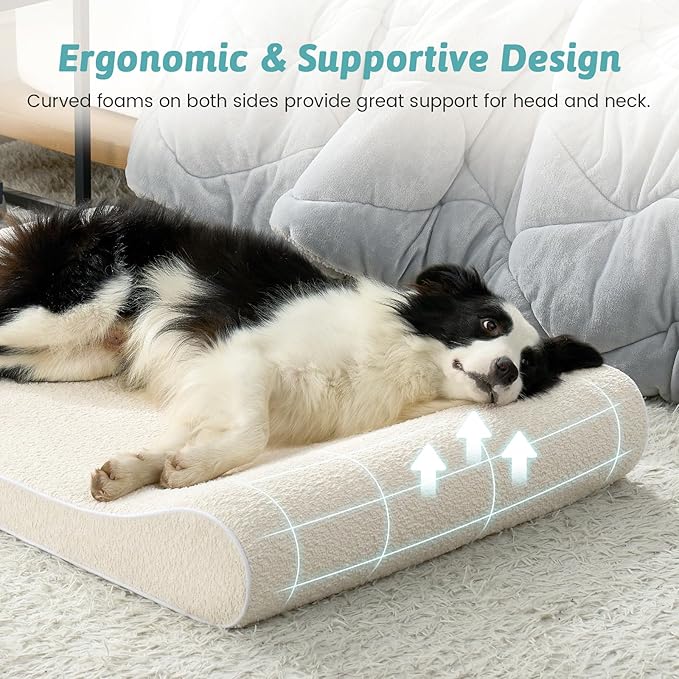 Orthopedic Dog Bed for Large Dogs up to 90 lbs - Removable Washable Cover with Waterproof Lining & Non-Skid Bottom, Cotton-Polyester Blend Boat-Shaped Lounger Mattress, L(45x30x6in), Beige