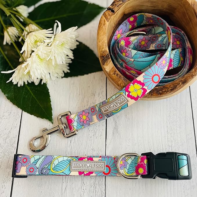 Lucky Love Dog Collar and Leash Combo, Cute Collar and Leash Set for Medium Female Dogs, Part of Purchase Donated to Rescue (Medium, Caroline, Combo)