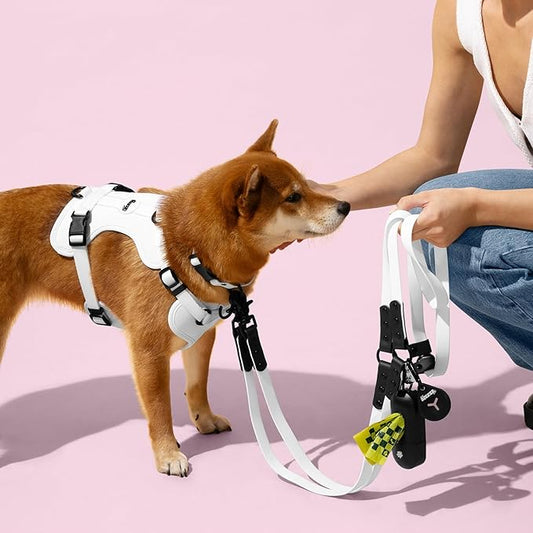 HNS1001F Arlo Small Adjustable Soft Padded No Pull Pet Harness with 3 Buckles and 3 Leash Clips, Seltzer