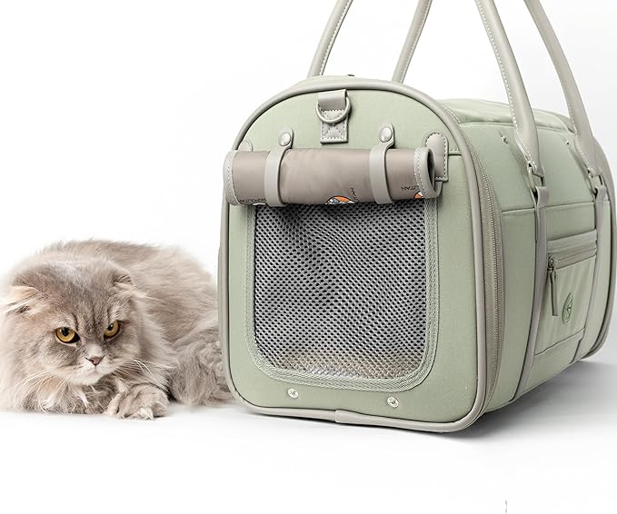 Soft-Sided Pet Carrier for Cats and Small Dogs – Stylish, Airline-Approved Travel Bag with Mesh Ventilation, Collapsible, Removable Pad and Safety Leash, Fits up to 16 lb