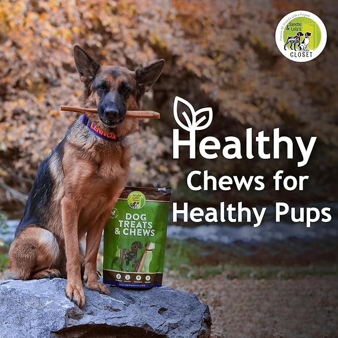 Supreme 6-inch Jumbo Bully Sticks by Sancho and Lola’s (5 Pack) All-Natural, Long-Lasting Dog Chew Treats - Free-Range, Grass-Fed Beef - Low Odor
