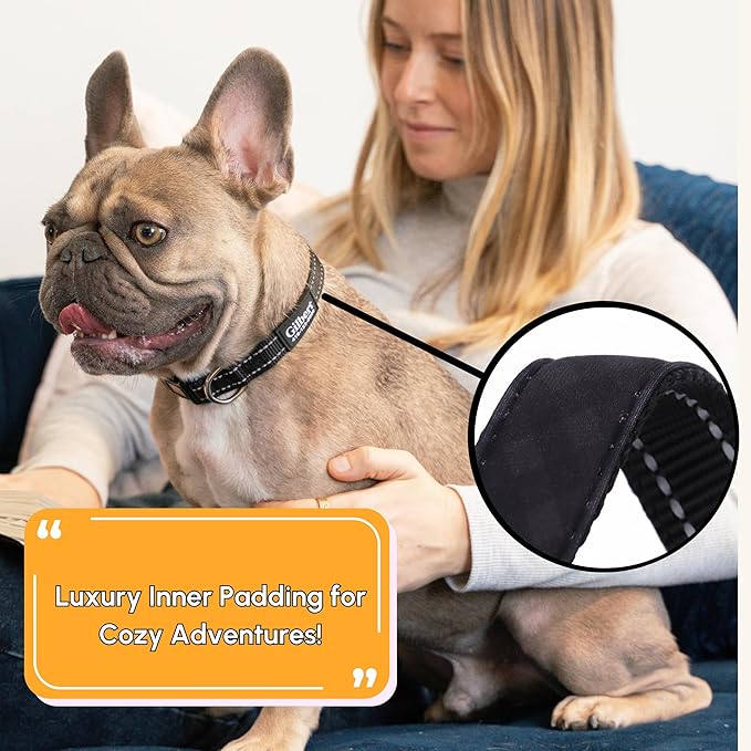 PAWBLEFY Personalized Dog Collars - Reflective Nylon Collar Customized with Name and Phone Number Adjustable Sizes for Small Dogs, Medium, Large 4 Colors Male Female boy Girl Puppies