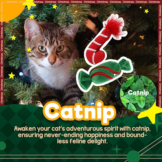 ALL FOR PAWS Christmas Cat Toys Happy Holiday Kitten Toys with Catnip, Crinkle Sound 2 Set Candy Cane Designs Kitty Toy