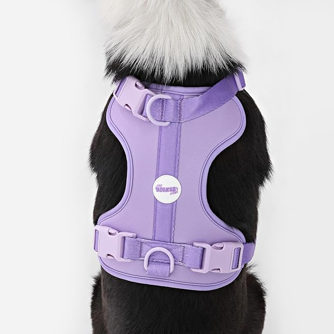 HNS1003H Arlo Large Adjustable Soft Padded No Pull Pet Harness with 3 Buckles and 3 Leash Clips, Bramble