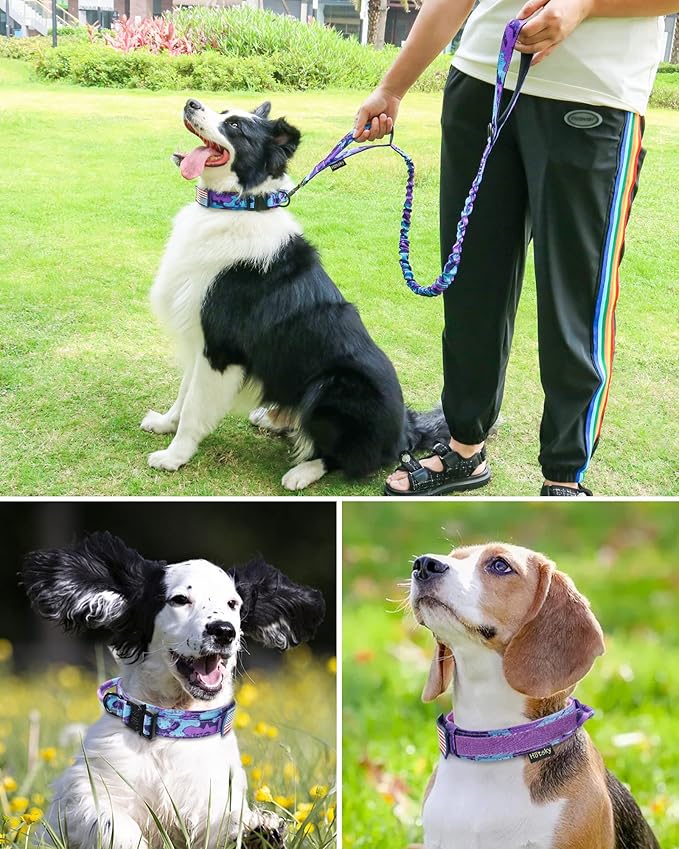 Hotsky Tactical Dog Collar and Leash Set, Heavy Duty Military Airtag Dog Collar with Handle and Metal Buckle for Training and Walking, with Airtag Holder and Two Patches (Purple Camo, M)