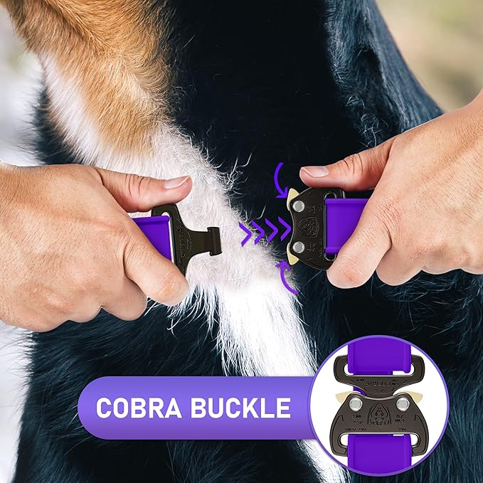 Biothane Dog Collar - Adjustable Heavy Duty for Medium Large Dogs - Waterproof Military Grade - Cobra Buckle, QR Code Dog Tag ID Included
