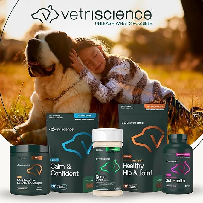 VetriScience Ultimate Strength Hip & Joint Supplement for Dogs, GlycoFlex Plus – MSM, Chondroitin & Green-Lipped Mussel Chews for Mobility, Flexibility, Comfort & Support, Duck Flavor, 120 Cnt
