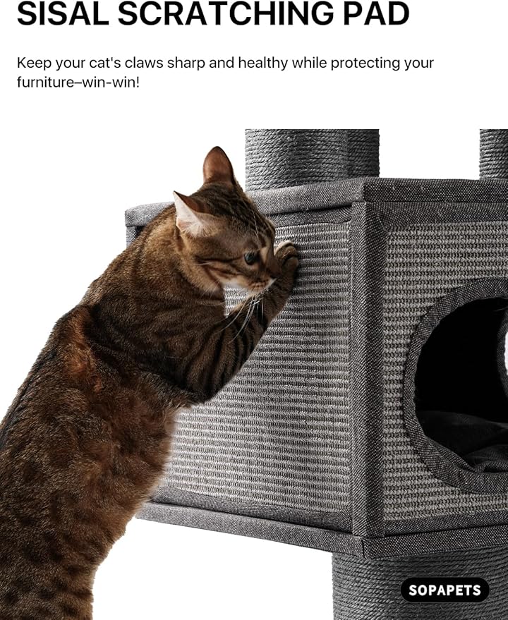 Maine Coon Cat Tree for Indoor Cats Large Adult,Modern Cat Tower for Extra Large Cats 20 lbs+,Heavy Duty Cat Tree with Sisal Scrathing Post,Hammock,Perch,Condo,Bed (Black)