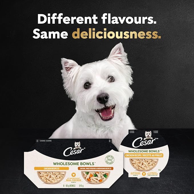 Cesar Wholesome Bowls Adult Wet Dog Food, Chicken, Carrots, Barley & Green Beans Recipe and Beef, Chicken, Purple Potatoes & Carrots Recipe Variety Pack, 3 oz., 6 Count