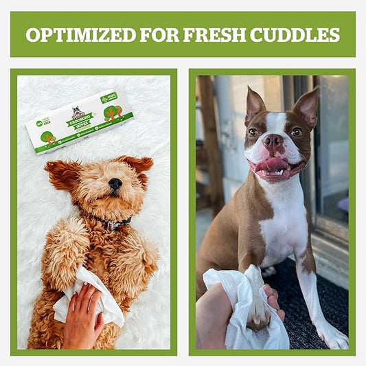 Pogi’s Dog Wipes Travel Packs – Hypoallergenic Pet Wipes for Paws, Body & Butt – Cleaning & Hydrating, Fragrance Free, 240-Count