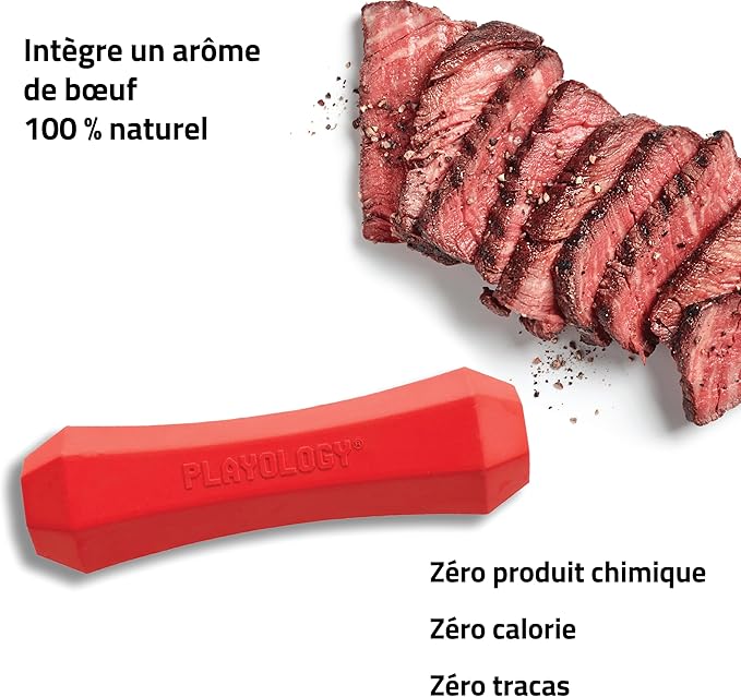 Playology Dog Toys | Durable Squeaky Chew Stick for Dogs| Medium Beef Scented Toy - Easy to Clean and Made from Non Toxic Materials