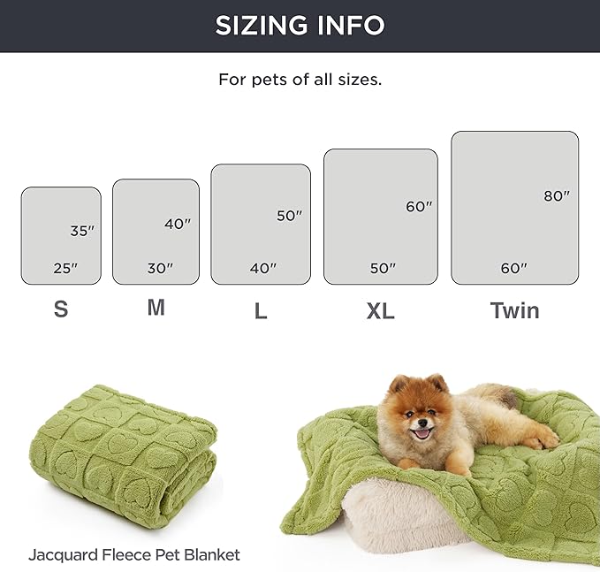 Bedsure Dog Blanket for Small Dogs Washable - Fluffy Fuzzy Puppy Cat Blanket with Premium 300GSM Coral Fleece Soft for Pet Kitten Doggy, Green, 25x35IN