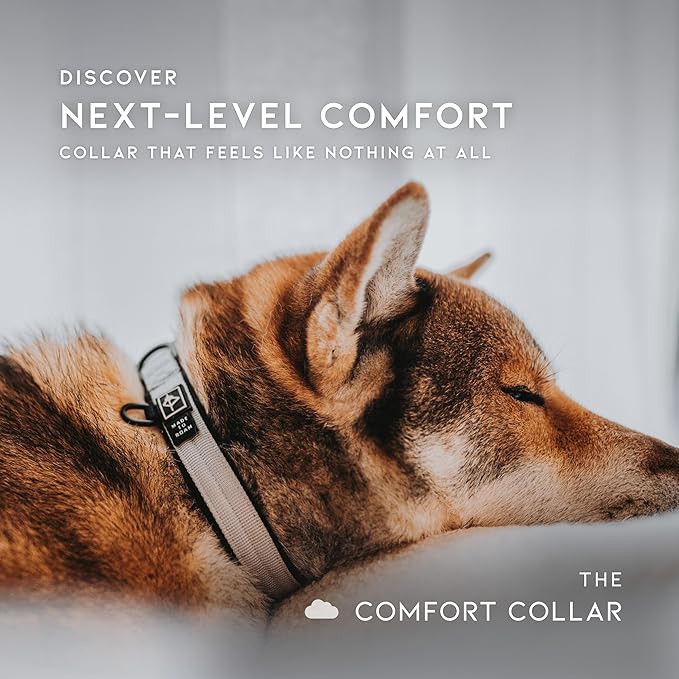 MADE TO ROAM Comfort Collar - Adjustable Nylon Dog Collar with Soft Comfortable Padding, Light Aviation Aluminum Metal Buckle for Small, Medium and Large Dogs (Montana Moonrise, Size 5)