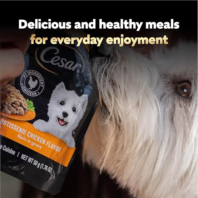 Cesar Filets in Gravy Wet Dog Food, Rotisserie Chicken Flavor, 1.76 oz. Mini-Pouches, 20 Count (Pack of 1)