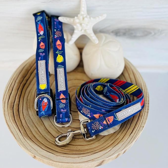 Lucky Love Dog - Easy Click Buckle Dog Collar with Leash Set Combo, Durable & Comfortable for Male & Female Dogs, Pet Collar for Small to Large Dogs, Secure Fit - Mackey Combo, Large