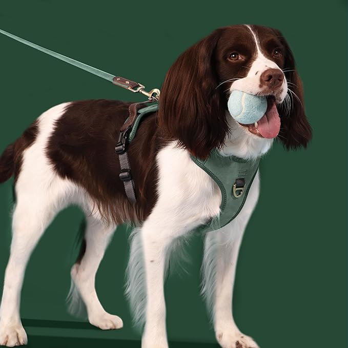 No Pull Dog Harness Medium Sized Dog,Stylish PU Leather Vest with Easy Control Handle,No Choke Front Clip with 2 Metal Leash Clips,Reflective & Adjustable for Walking,Green,Chest 22-29"