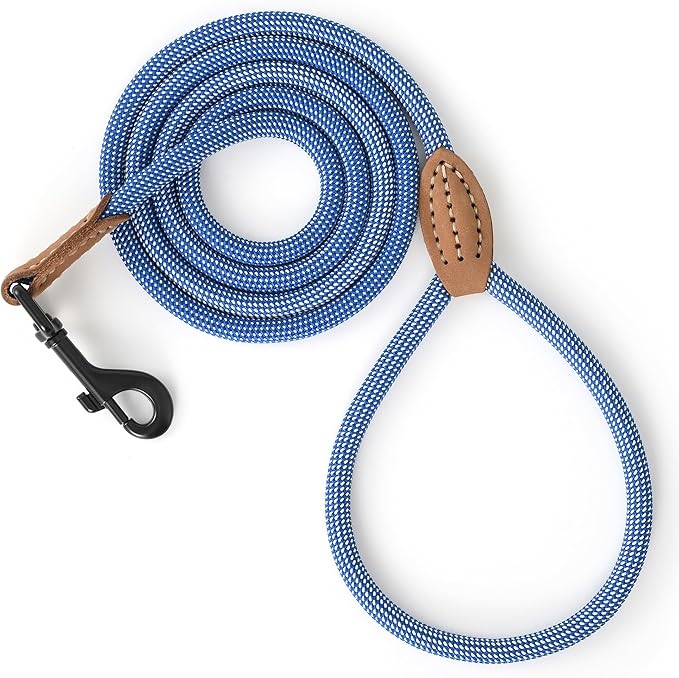 Mile High Life Small Dog Leash, Thin Rope Leash with Genuine Leather Connection and Heavy Duty Metal Clasp, Great for Small Medium Dogs(Blue White,72 Inch-1/3)