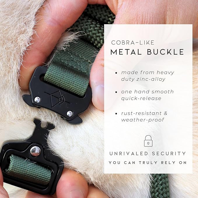 Made to ROAM Premium Dog Collar - Adjustable Heavy Duty Nylon Collar with Quick-Release Metal Buckle (Washington Rain, Classic Size 0)
