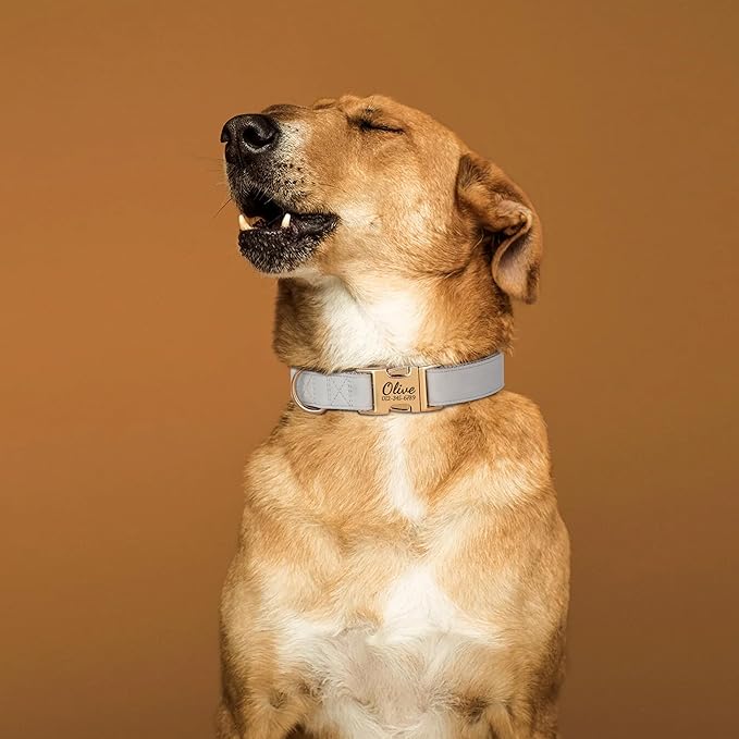 PET ARTIST Personalized Dog Collars, Custom Engraved Dog Collar with Silent Name Tag, Gold Quick Released Buckle & Soft Nylon Padded, Elegant Colors & Matching Leash for Large Dogs,Gray,L Fit 16-27"