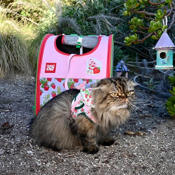 Travel Cat Strawberry Shortcake Harness & Leash Set - Adjustable Fit Mesh Cat Harness with Reflective Strap - Harness for Cats, Kittens for Outdoor (Strawberry Shortcake, X-Small-Kittens Only)