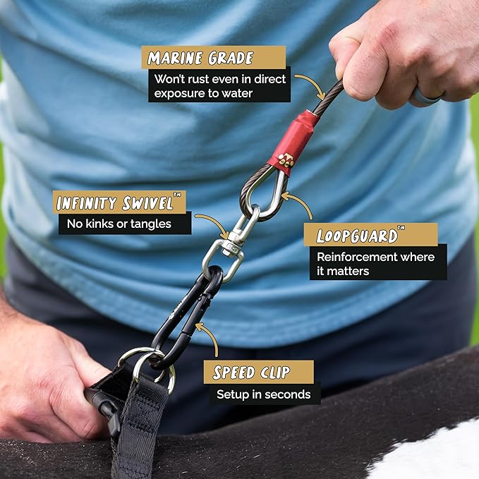 ROYAL PAW Dog Tie Out Cable and Stake 30ft - for Large Dogs up to 300 lbs - Heavy Duty Tether and Dog Stake for Yard, Beach & Camping Outside (Black, L/XL - 30ft)