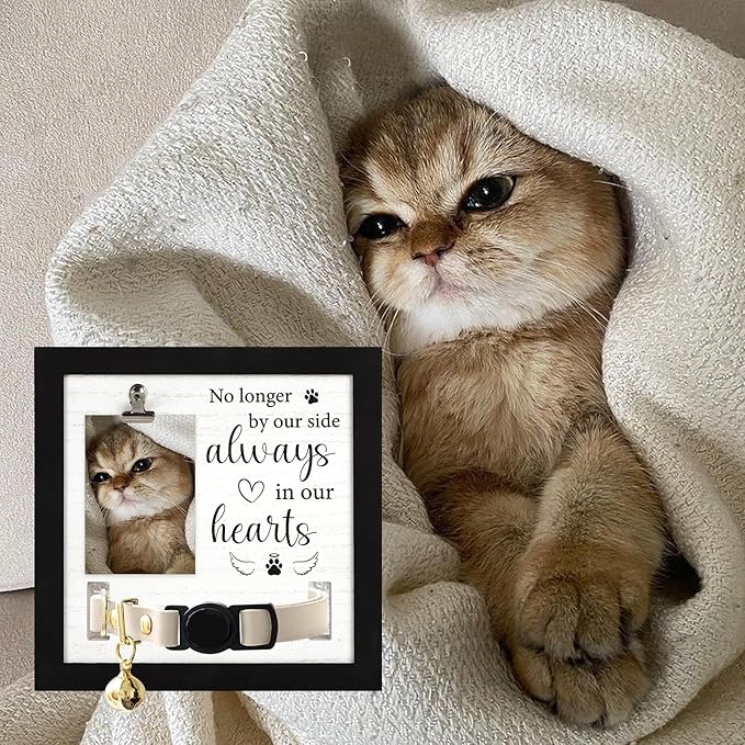 Pet Memorial Gifts, Pet Remembrance Picture Frame for Loss of Dog, Memorial Frame with Collar Holder for Pet Passed Away Sympathy Gifts