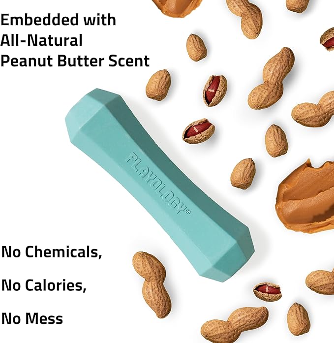 Playology Dog Toys | Durable Squeaky Chew Stick for Dogs | Medium Peanut Butter Scented Toy - Easy to Clean and Made from Non Toxic Materials