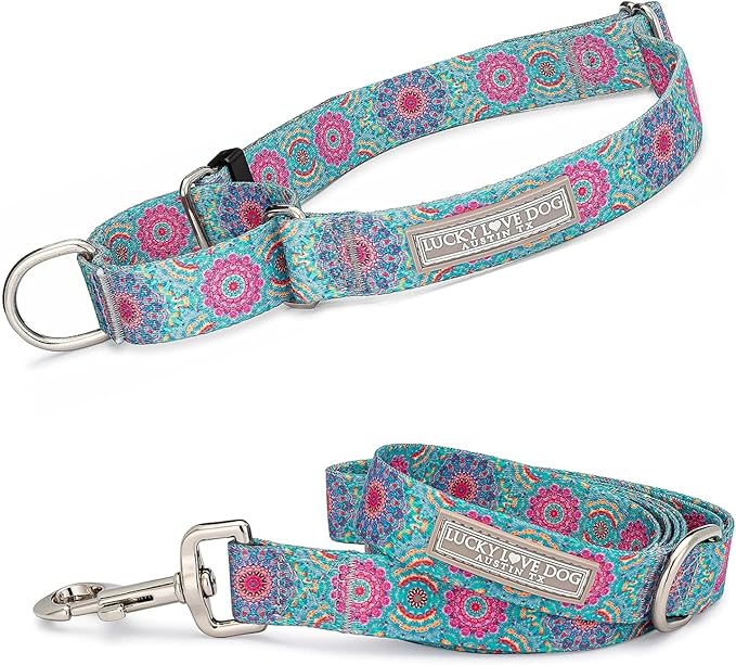 Lucky Love Dog Martingale Dog Collar & Leash - Adjustable, No-Slip, Durable, Comfortable, Soft Webbing, & Stylish Patterned Collar & Leash Set for Male and Female Dogs - Clara Combo, Medium