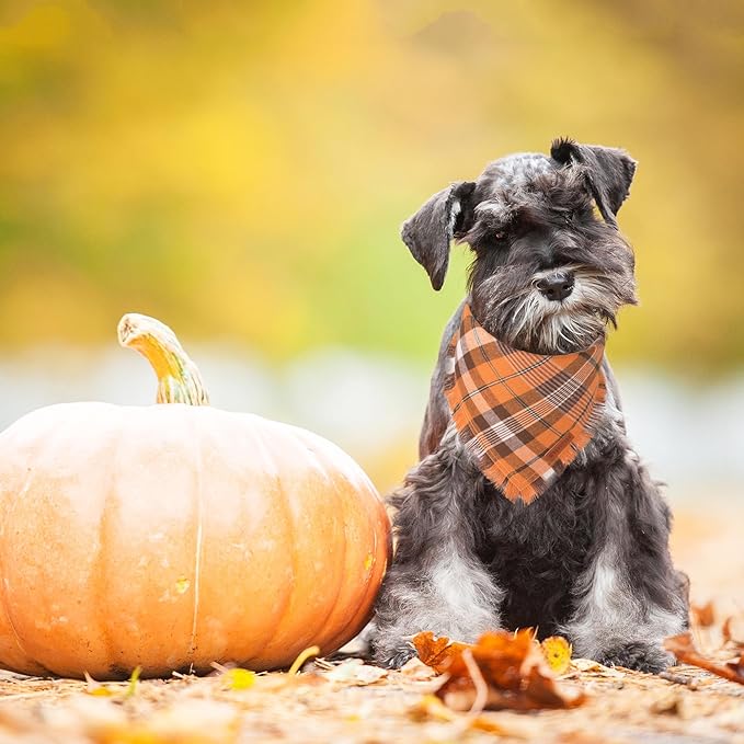 ADOGGYGO Fall Dog Bandana with Tassels Edges, Orange Red Plaid Pet Scarf Bib, Multiple Sizes Offered, Halloween Thanksgiving Fall Bandanas for Small Dogs Pets (Small)