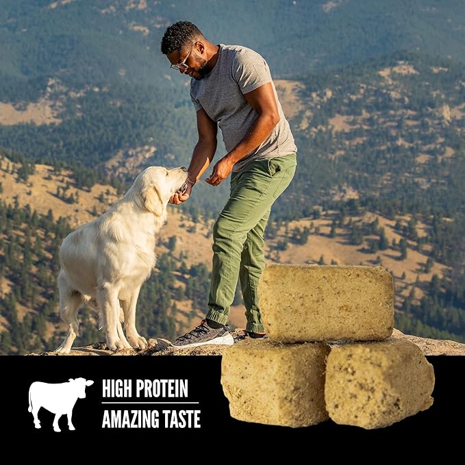 ORIJEN Grain Free High Protein Freeze Dried Dog Treats Original Recipe 1.5oz Bag
