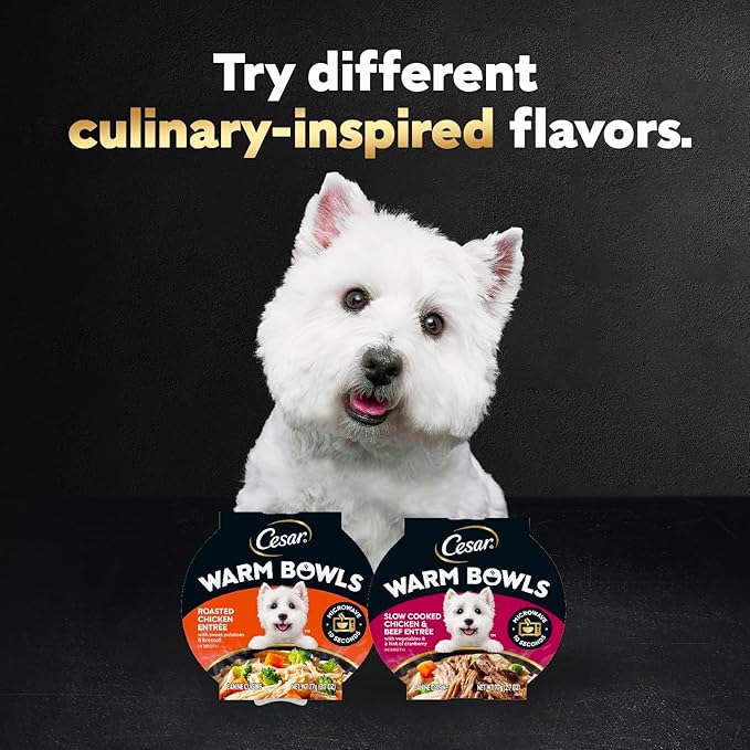 Cesar Warm Bowls Wet Dog Food Roasted Chicken Entree with Sweet Potatoes & Broccoli in Broth, 2.7 oz. Bowls, 10 Count (Pack of 1)