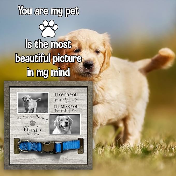 Personalized Dog Memorial Picture Frame Remembrance Gifts for Loss of Loved Dogs Collar Plaque In Loving Memory of Dogs and Cats Sympathy Gifts Pawprints Pet Decorations Hanging Wall Art Decor