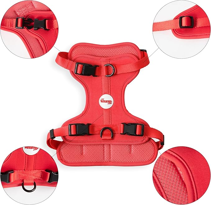 HNS1002M Arlo Medium Adjustable Soft Padded No Pull Pet Harness with 3 Buckles and 3 Leash Clips, Shirley