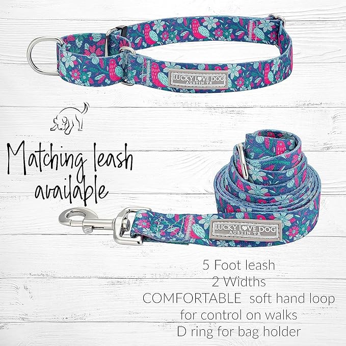 Lucky Love Dog - Easy Click Buckle Dog Collar with Leash Set Combo, Durable & Comfortable for Male & Female Dogs, Pet Collar for Small to Large Dogs, Secure Fit - Carriebelle Combo, Small