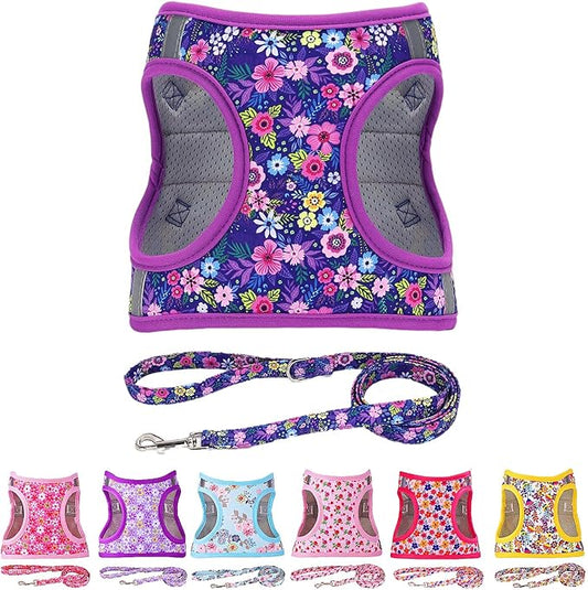 Moonpet Step in Dog Harness Leash Set- All Weather Reflective No-Pull Floral Pattern Padded Mesh Vest Harness for Cats Puppy Extra-Small Small Medium Large Dogs - Dark Flower - XS