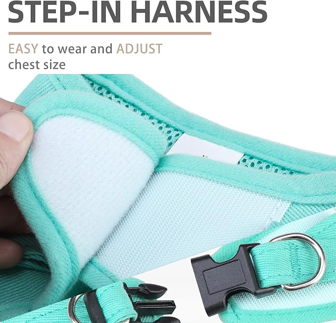 PUPTECK Dog Harness and Leash Set for Small Medium Dogs No Pull Step-in Soft Mesh Puppy Cat Vest Harnesses Reflective at Night, Denim Green M