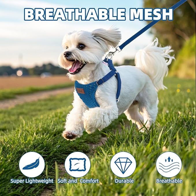 PUPTECK Dog Harness and Leash Set Small Sized, Step-in Cute Puppy Harness, Soft Lightweight Padded Vest, Escape Proof No Pull Pet Harnesses Easy for Walking, Blue, S
