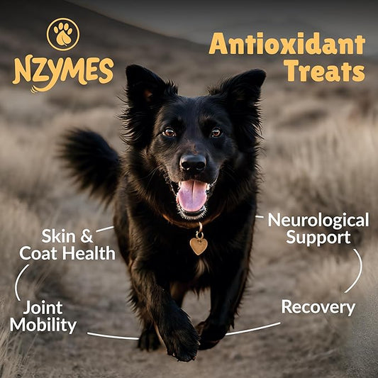 Nzymes® Antioxidant Treats - for Dogs Joints, HIPS, Paralysis, Skin, Coat, Hair Loss, Aging, Digestion, Neurological, Seizures - 180 Treats - Made in The USA