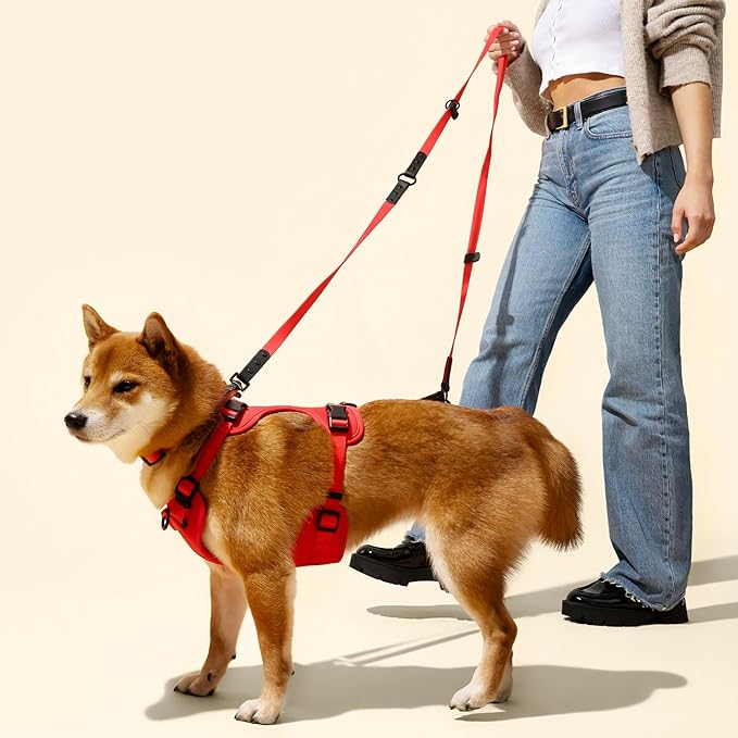HNS1001M Arlo Small Adjustable Soft Padded No Pull Pet Harness with 3 Buckles and 3 Leash Clips, Shirley