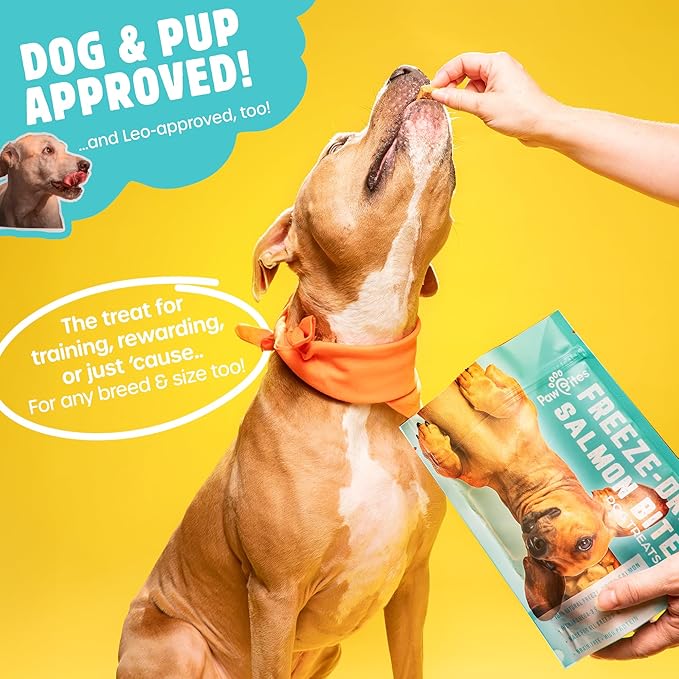 Paw Bites Freeze Dried Dog Treats - Wild Caught Salmon - Dog Food Dry Snacks - with Protein & Omega 3s - for All Breeds & Sizes - No Artificial Flavors & Dyes, No Preservatives - 1 Pouch, 4 oz