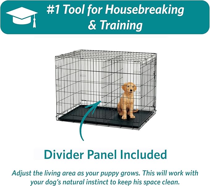 MidWest Homes for Pets 30-Inch Two-Door iCrate Folding Dog Crate with Divider Panel, Leak-Proof Tray & Secure Latches – Metal Wire Kennel for Medium Breeds – Portable, Durable & Easy to Assemble