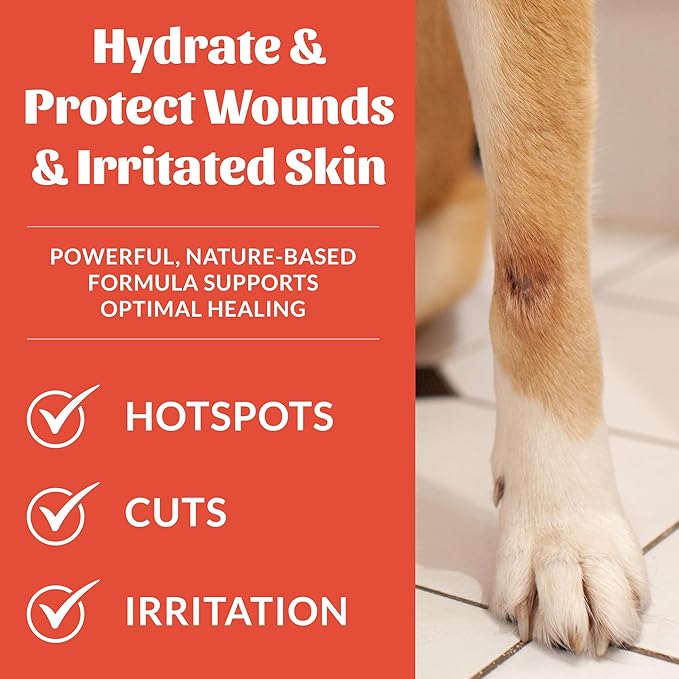 SKOUT'S HONOR Probiotic Hot Spot Hydrogel - Natural Hot Spot Treatment, Soothes and Heals Wounds, Burns, and Irritated Skin, Safe for All Skin Types, 4oz, 2-Pack