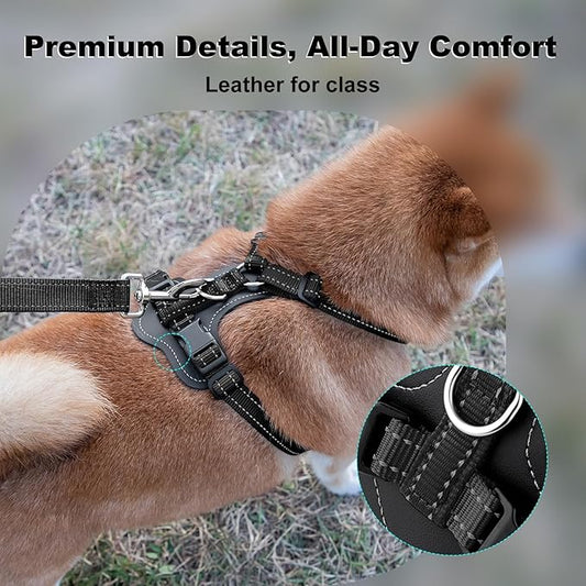 Plutus Pet Adjustable No Pull Dog Harness with Leather Accents, Heavy Duty Reflective Nylon Vest for Training, Hiking, Easy Walk Harness for Small, Medium, Large Dogs (Black, M)