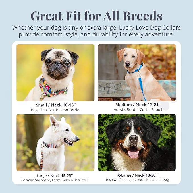 Lucky Love Dog Martingale Dog Collar & Leash - Adjustable, No-Slip, Durable, Comfortable, Soft Webbing, & Stylish Patterned Collar & Leash Set for Male and Female Dogs - Blackbird Combo, Large