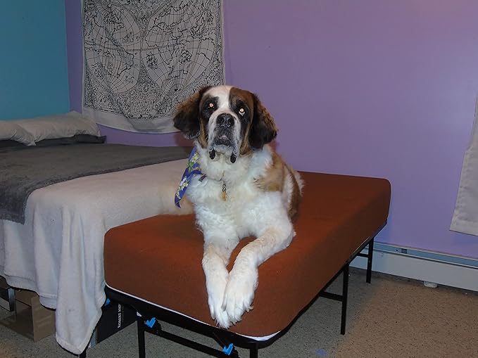 Generic King Size Dog Bed Extension - 14" Height, 76" x 26" - Medium Firm Polyurethane Foam, Polyester Cover - Non-Slip Base, Foldable Metal Frame